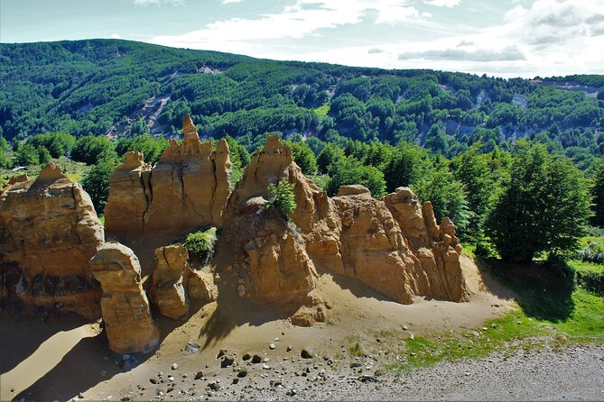 Private Patagonian Forest Hike in Punta Arenas: 8 Hour - Who this hike is best for (and who should think twice)