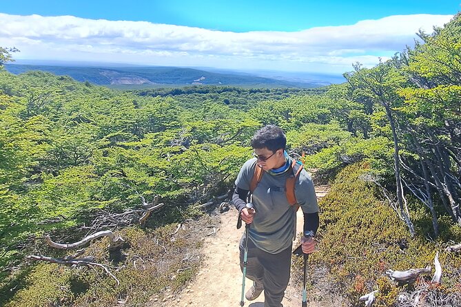 Private Patagonian Forest Hike in Punta Arenas: 8 Hour - Booking and flexibility, the practical bits
