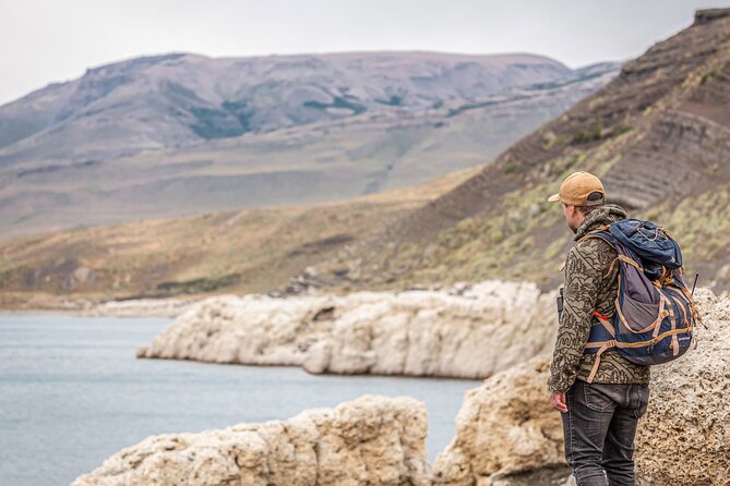 Private Pumas and Wildlife Watching Experience - How the Guide Makes the Difference on a Short Day
