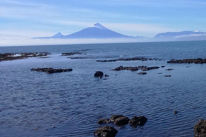 Private Shore Excursion Tour to Puerto Montt, Puerto Varas and Frutillar - Puerto Montt start: Plaza de Armas as your orientation stop