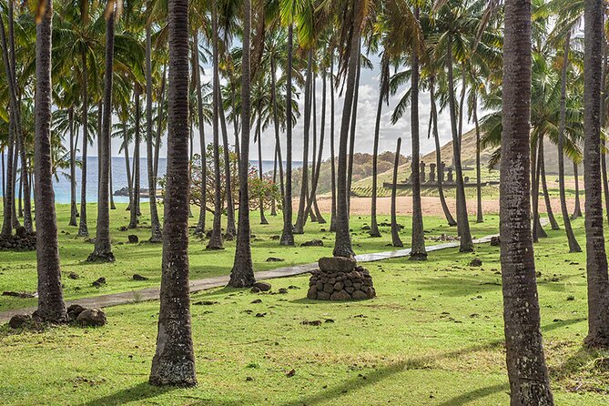 Private Tour: 2 Half Days & 2 Full Days - Day 2: Tongariki’s 15 Moai, the Quarry Trail at Rano Raraku, and Anakena