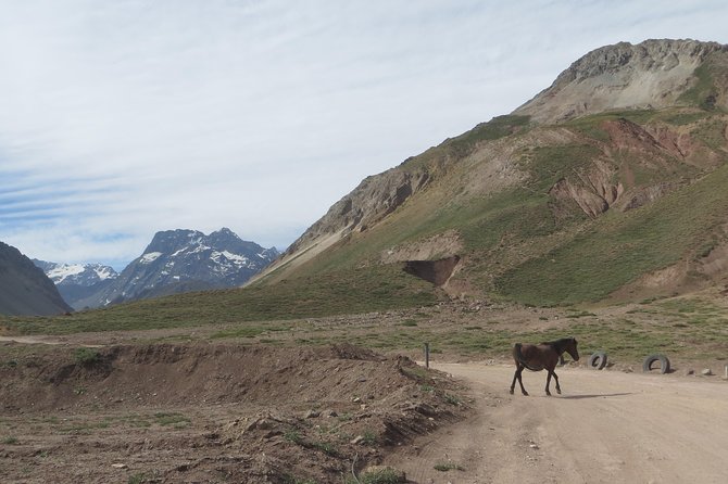 Private Tour: Andes Mountains with Wine Tasting from Santiago - Fitness, comfort, and who this tour suits best