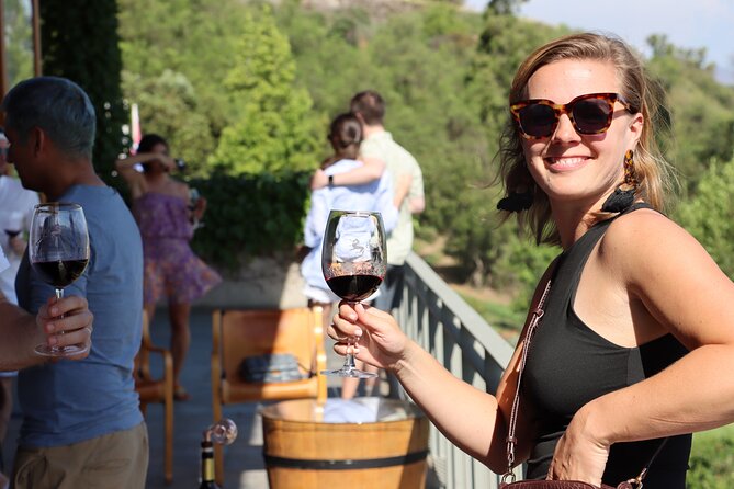 Private Tour: Isla de Maipo For Wine Lovers - Private Maipo Valley Wine Day From Santiago, With Food and Transport