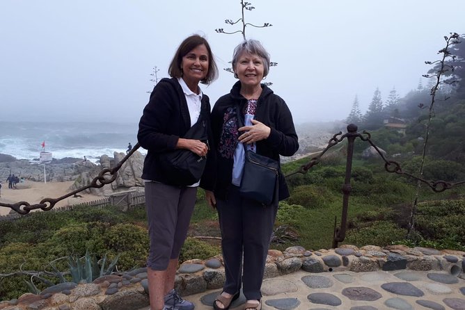 Private Tour Isla Negra, Pomaire and Coastal Resorts Tour from Santiago - Price and value: what you get for $170.90 per person on a private day