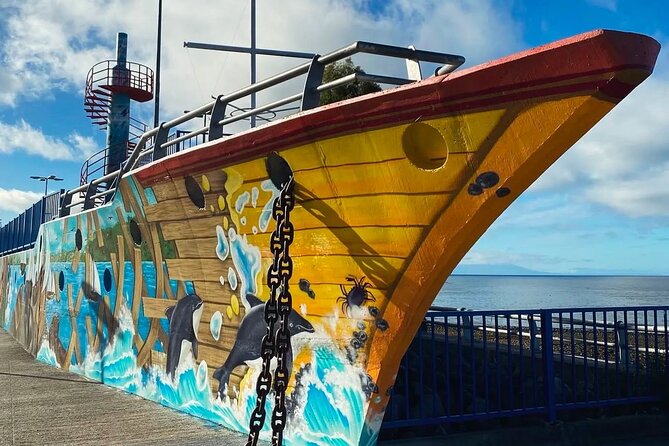 Private Tour of Puerto Montt with Stops - Torre Mirador Playa Pelluco for Lighthouse and City Views