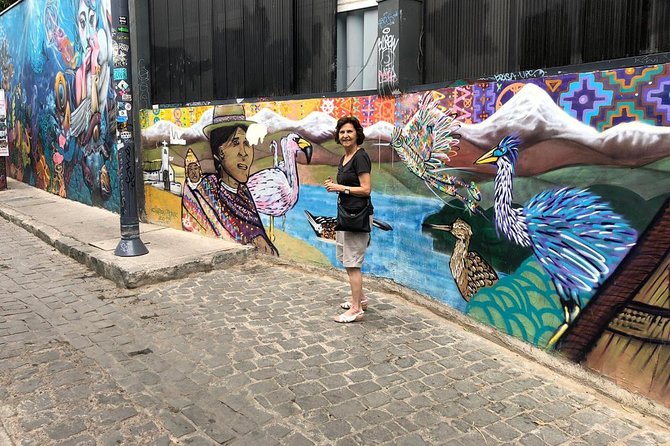 PRIVATE TOUR: Pre-Post Cruise Viña del Mar Valparaiso and Casablanca Winery tour - Museums, Ascensores, and the Ticket Reality for Funicular Lovers