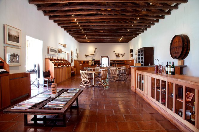 Private Tour: Santa Rita Vineyard with Wine Tastings - Key Highlights You’ll Care About