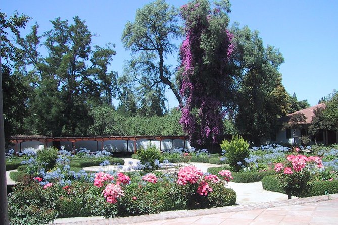 Private Tour: Santa Rita Vineyard with Wine Tastings - Museo Andino: A Free Add-On That Can Feel Brief