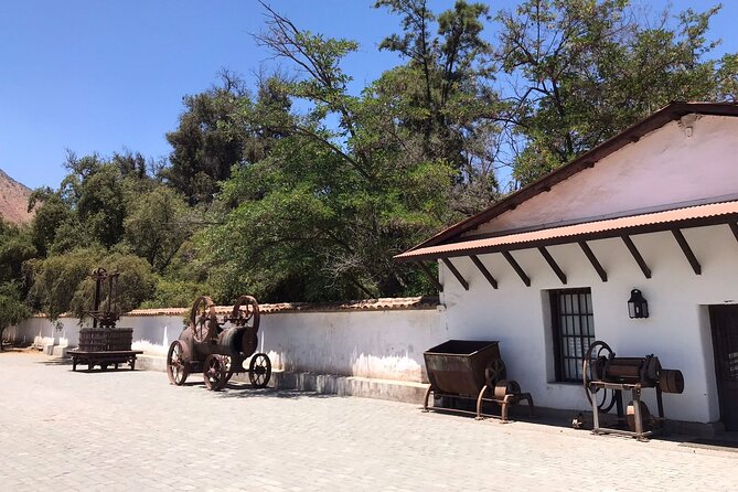 Private Tour to Viña Santa Rita - Step 1 at Viña Santa Rita: the vineyard tour and the 120 patriots connection