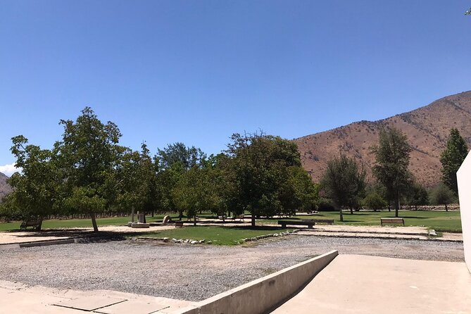 Private Tour to Viña Santa Rita - Price and value: is $100 per person worth it for a private 5-hour winery day?