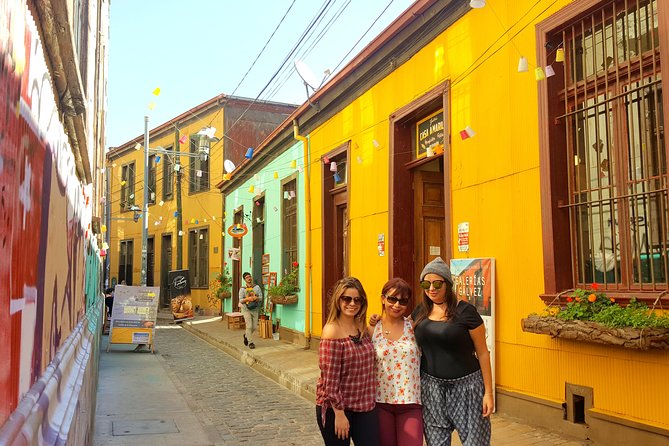 Private Tour: Valparaiso and Vina del Mar from Santiago - The comfort of private driving along the coast