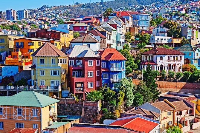 Private Tour: Viña del Mar and Valparaíso Tour with Wine Tasting in Casablanca Valley - Casablanca Valley tasting: Azapa olives, wine samples, and how to set expectations