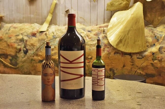 Private VIK Winery (2nd World Best Wine) & Transfer to Hotel - The return drive to Santiago: scenery and decompression time