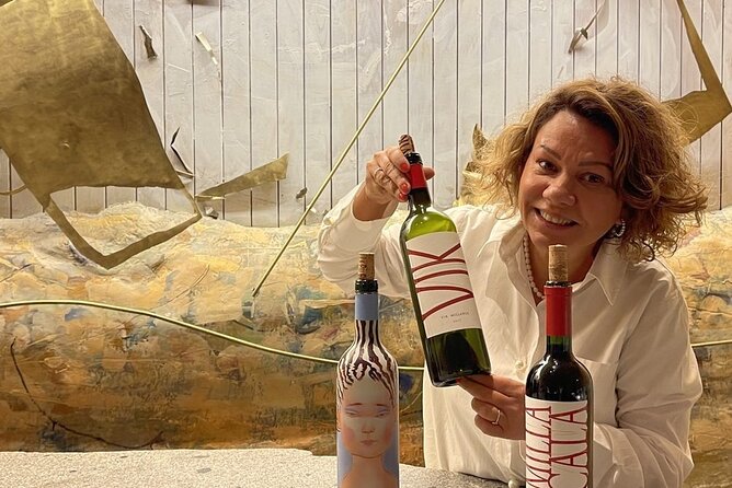 Private VIK Winery (2nd World Best Wine) & Transfer to Hotel - The pickup and transfer: how the day actually starts