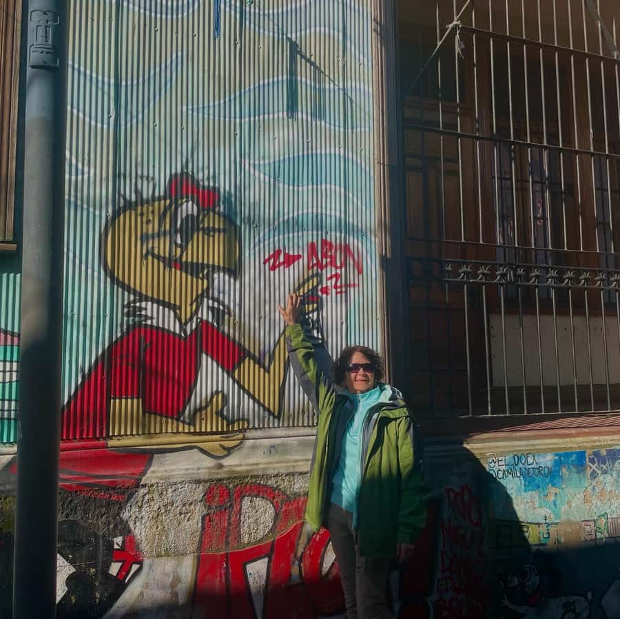 Private: Viña del Mar and Valparaiso Day Tour - Museo Palacio Vergara and the Why Behind the Glamour