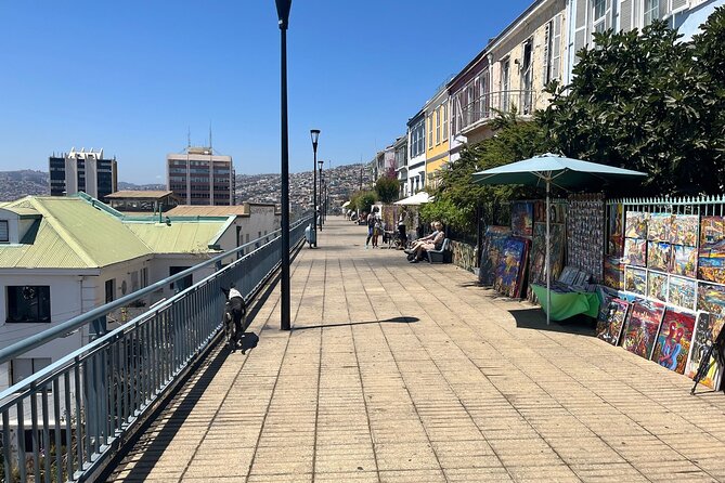 Private Visit Valparaiso, Viña Del Mar & winery From Santiago - Timing realities: start at 10:00 and plan your lunch gap