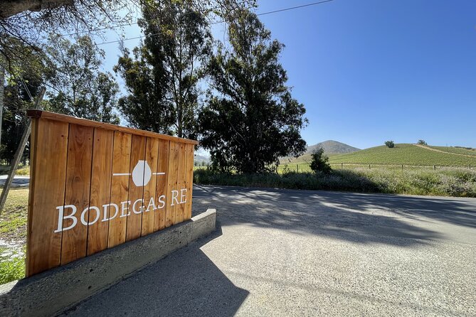 Private wine tour Casablanca valley - Key Highlights You’ll Care About