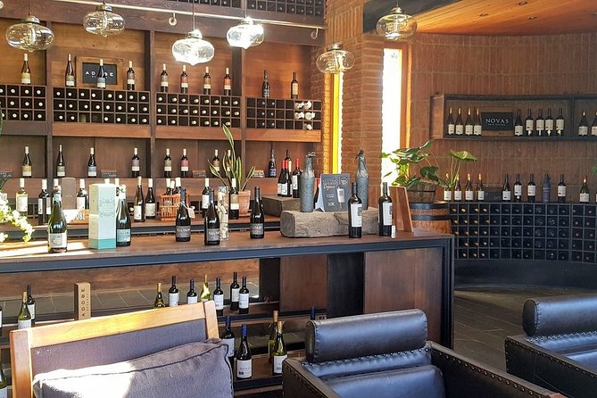 Private Wine Tour in Valparaiso - Key highlights you will actually feel during the day