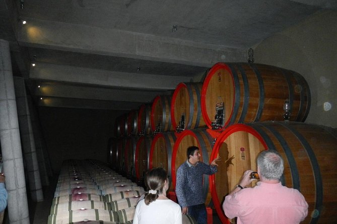 Private Wine Tour in Valparaiso - Casablanca Valley is the smart setting for a 5-hour wine day