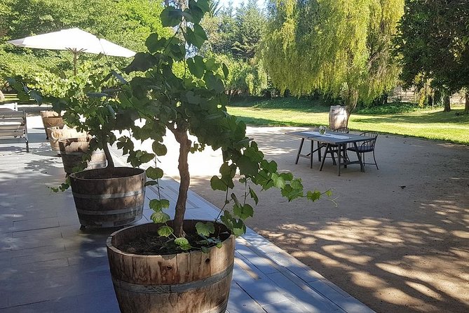 Private Wine Tour in Valparaiso - How the Casablanca Valley stop sets you up (and where your 1 hour goes)