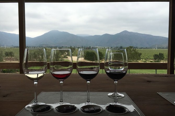 Private Wine Tour in Valparaiso - Bodega RE tasting: the classic-style stop that helps you learn fast