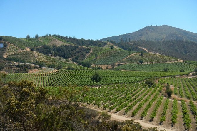 Private Wine Tour in Valparaiso - The flow from 9:15 pickup to drop-off, and why it matters