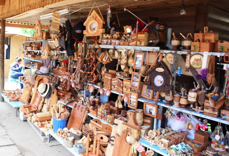 Pucón and Villarrica: Guided Tour with Hotel Pickup - Villarrica waterfront to the Municipal Historical and Archaeological Museum
