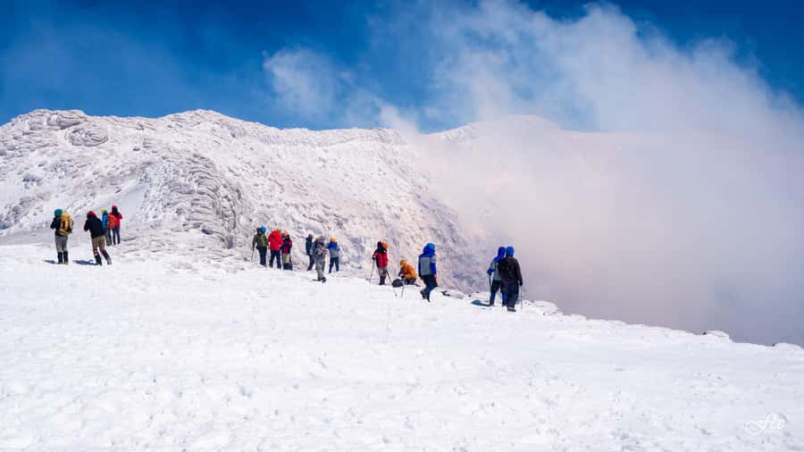 Pucón: Ascent to Villarrica Volcano - Safety briefing and hiking rhythm in Villarrica National Park