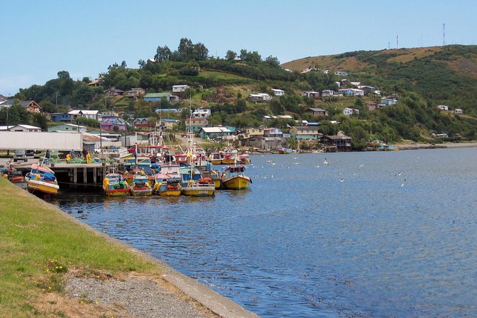Puerto Montt: Full day Chiloe island visiting Ancud - Caulin - Lacuy - The real charm of this Puerto Montt to Chiloe day trip