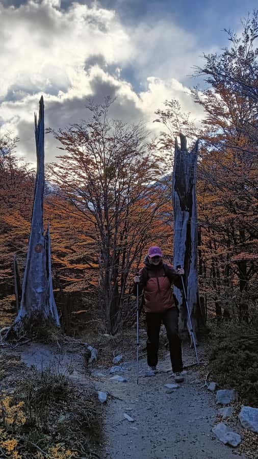 Puerto Natales: Base of the Towers Trekking Experience - Guides and pacing: why the best part is often the people