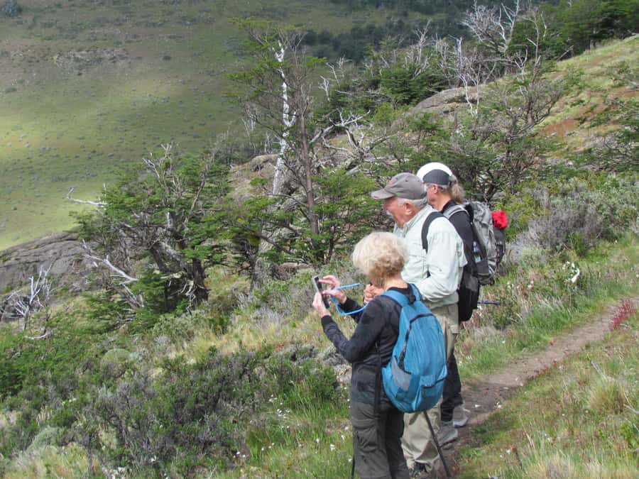 Puerto Natales: Cerro Benitez Half-Day Hike with Condors - Pace and Comfort: How the Guides Keep It Enjoyable