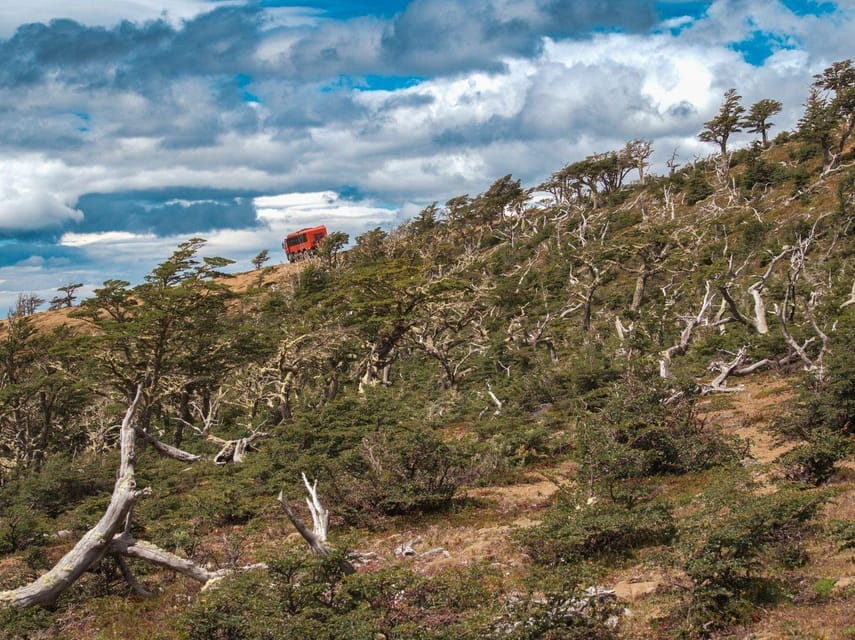 Puerto Natales: Cerro Dorotea 8x8 Tour with Panoramic Views - Book it, or skip it? My honest take
