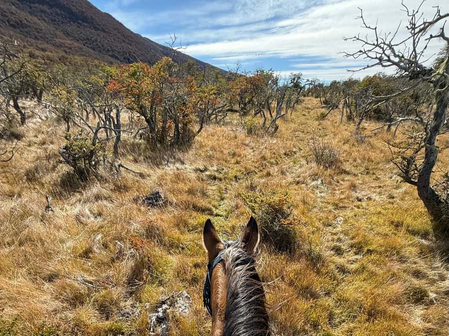 Puerto Natales: Full Day Horse Riding to the Mountains - Who this tour fits best, and who should skip it