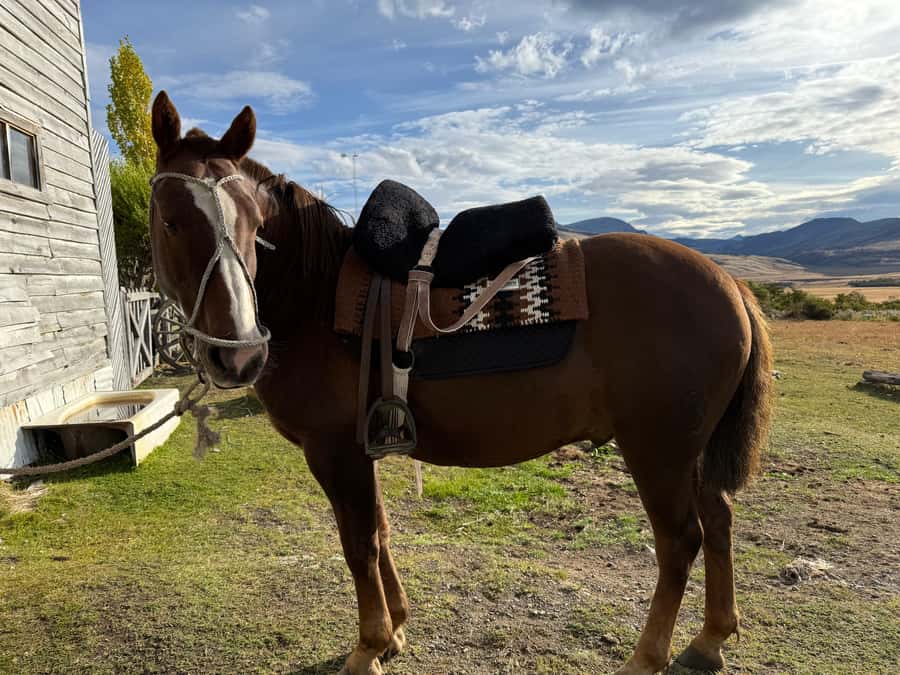 Puerto Natales: Full Day Horse Riding to the Mountains - From Holaste to the Mountains: the day’s rhythm in Puerto Natales