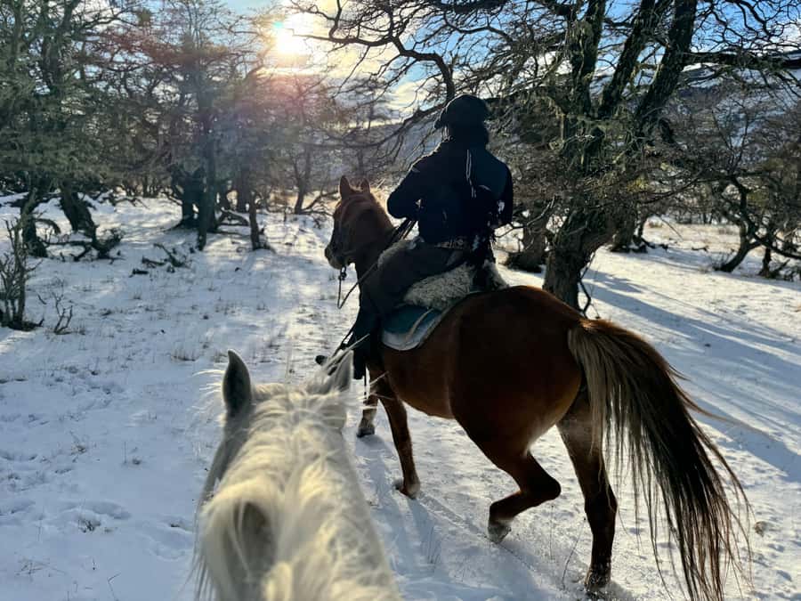 Puerto Natales: Full Day Horse Riding to the Mountains - Safety briefing at Hotel Posada 3 Pasos: why it matters on Patagonian trails