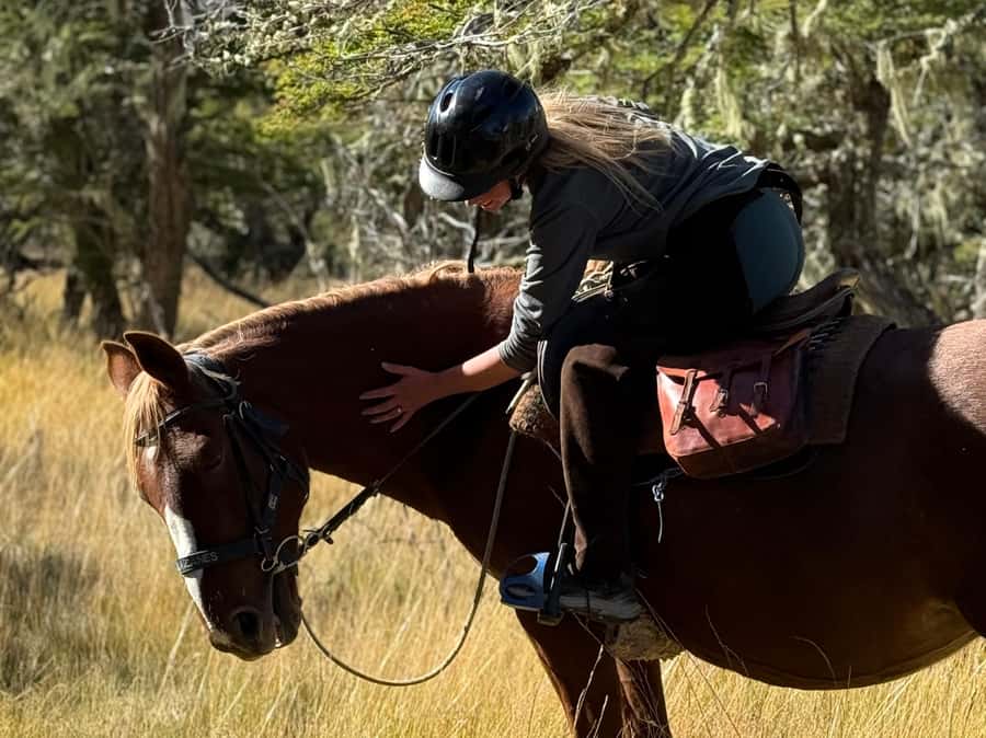 Puerto Natales: Full Day Horse Riding to the Mountains - Price and value: is $360 per person worth it