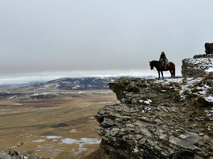 Puerto Natales: Full Day Horse Riding to the Mountains - The horse connection moment: catch, brush, tack, then ride