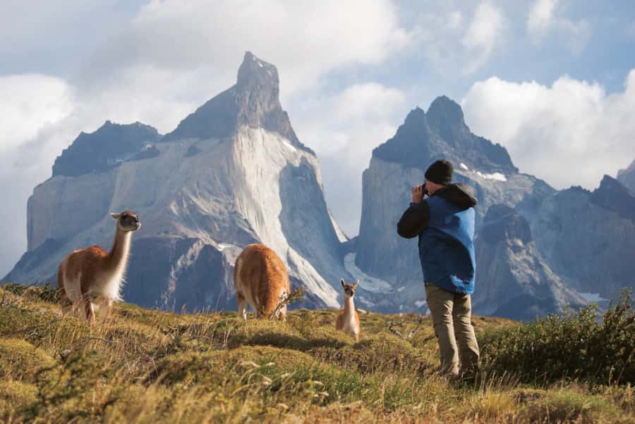 Puerto Natales: Full Day Torres del Paine + Milodon Cave - Starting in Puerto Natales: how the day gets rolling
