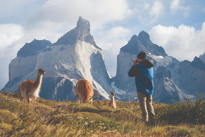 Puerto Natales Full Day Torres del Paine plus Milodon Cave - First, the big picture: what this Puerto Natales day trip gets you