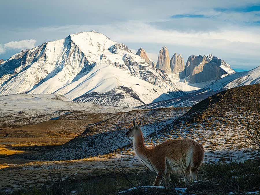 Puerto Natales: Full-Day Torres del Paine Tour - A one-day Torres del Paine loop from Puerto Natales