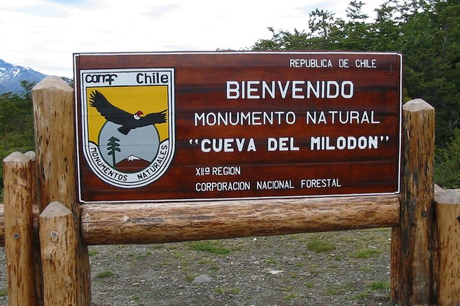 Puerto Natales: Full day tour Torres del Paine - One day in Patagonia, planned for maximum sights