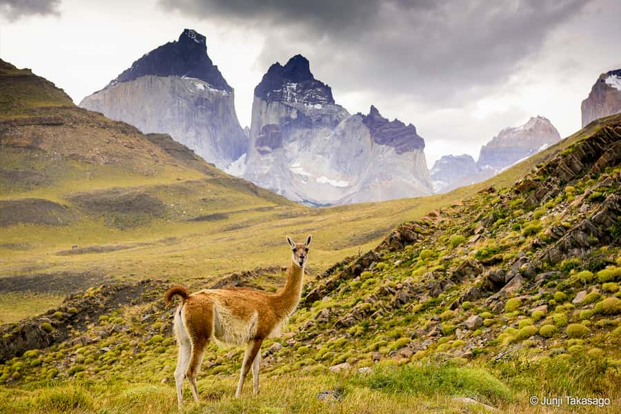 Puerto Natales: Full day tour Torres del Paine National Park - Milodón Cave Natural Monument and La Silla del Diablo: the history stop that breaks up the day