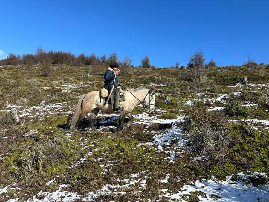 Puerto Natales: Horseback Riding to Dorotea Fjord Lookout - Meeting Up and Getting Rolling in Puerto Natales