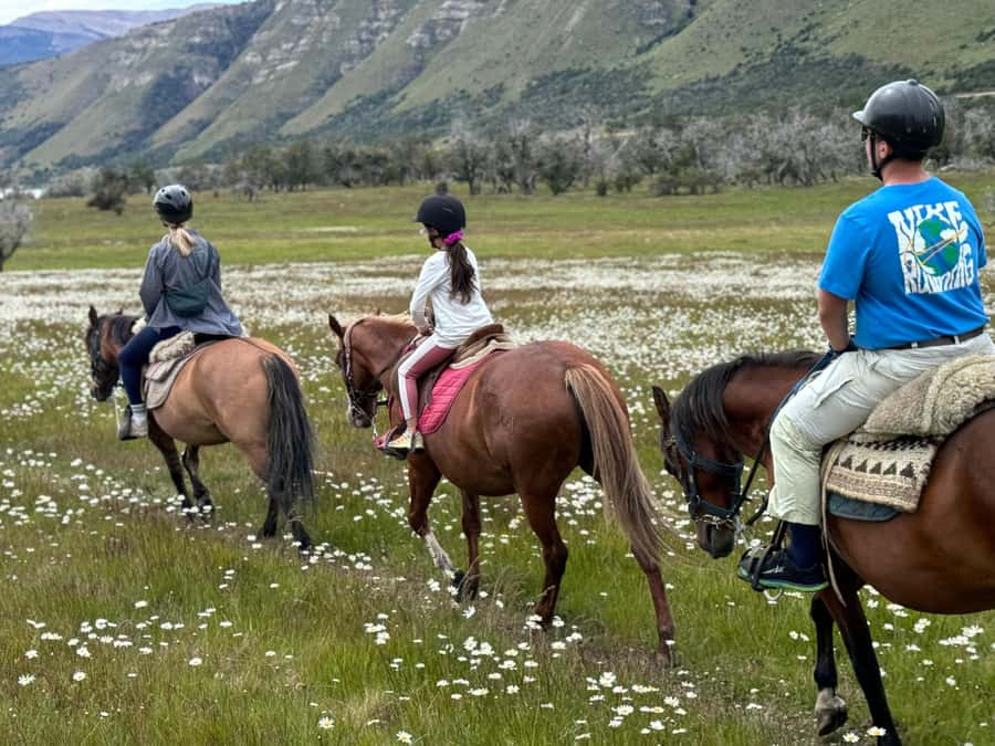 Puerto Natales: Horseback Riding with Horse Connection - Key things that make this ride worth your time
