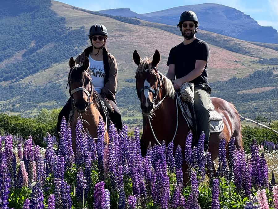 Puerto Natales: Horseback Riding with Horse Connection - Why this horseback ride feels different near Puerto Natales