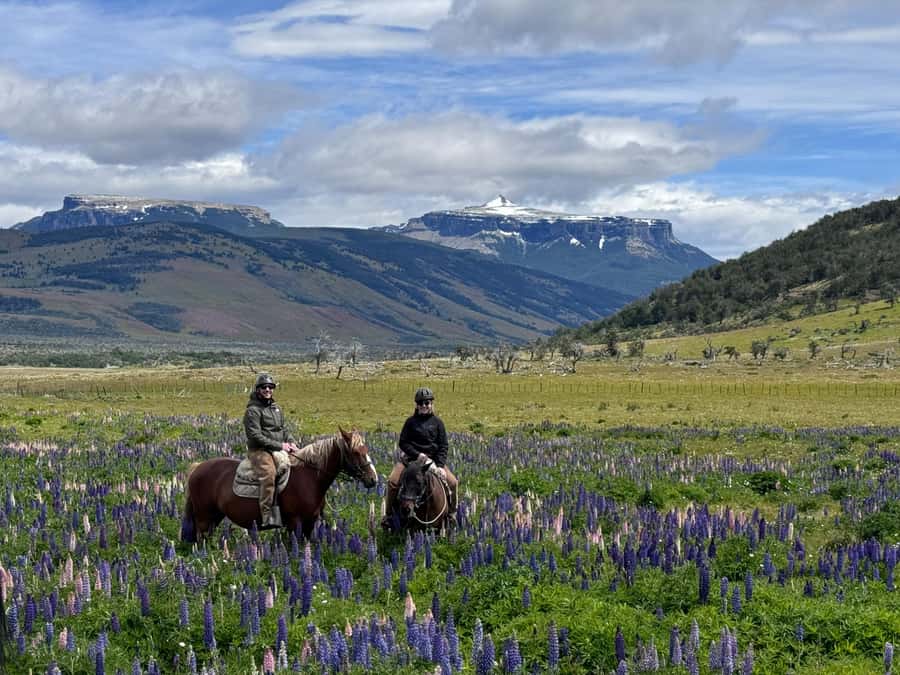 Puerto Natales: Horseback Riding with Horse Connection - Choosing tack styles: English, Huaso, or Gaucho