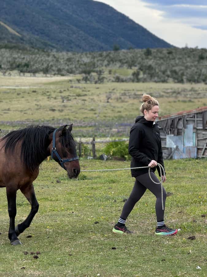 Puerto Natales: Horseback Riding with Horse Connection - Half-day option to Lake Figueroa: best for most people