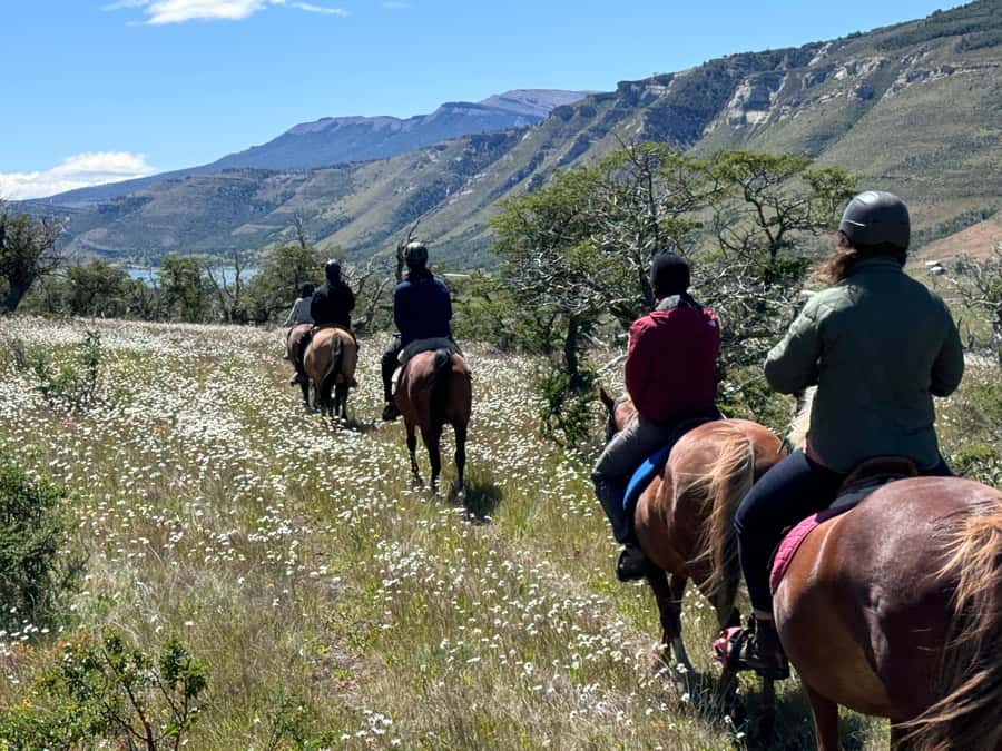 Puerto Natales: Horseback Riding with Horse Connection - Full-day option to Lake Figueroa: only if you’re really comfortable