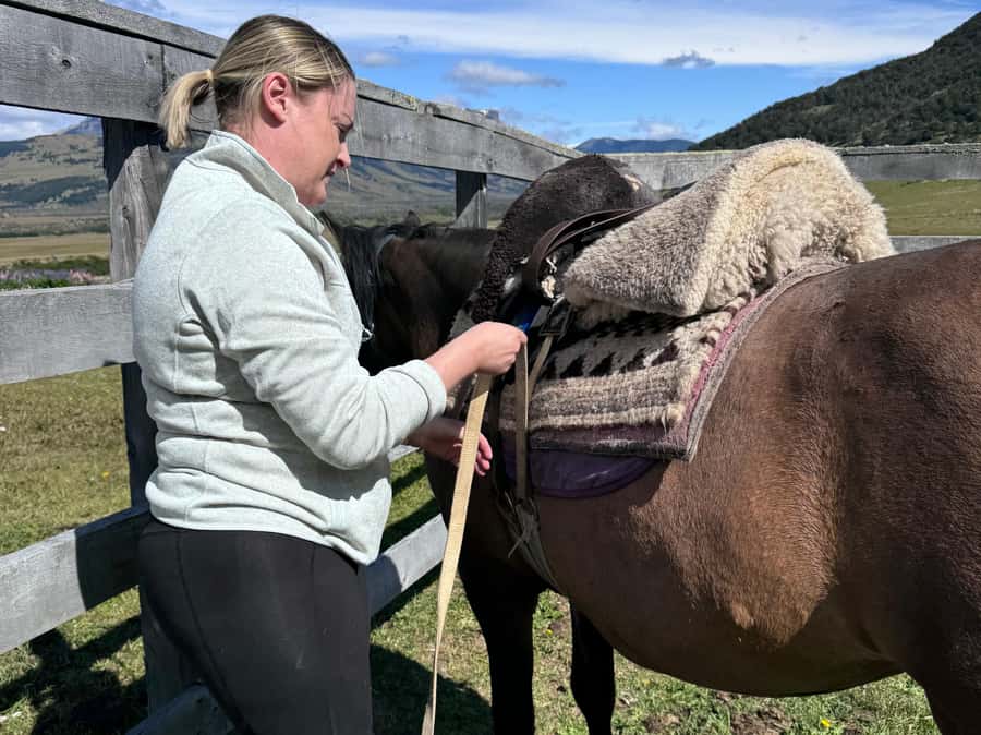 Puerto Natales: Horseback Riding with Horse Connection - Group size, timing, and what it means for your day