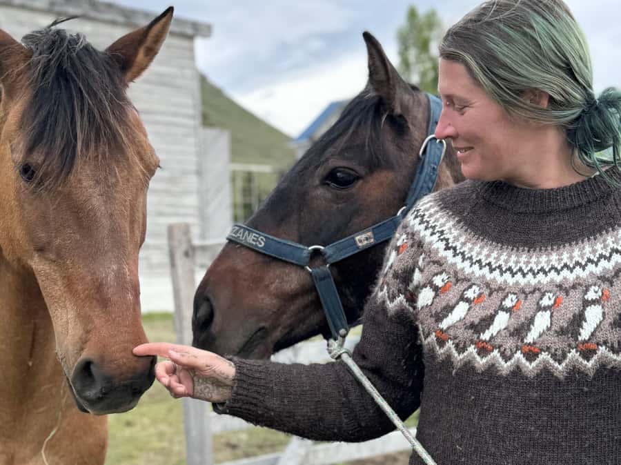 Puerto Natales: Horseback Riding with Horse Connection - Where it starts: Hotel Posada 3 Pasos and the first safety steps